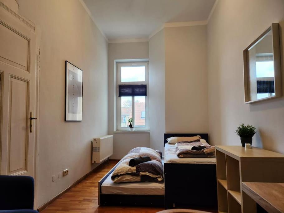 4 Raum Wohnung Mit Balkon Auf 120Sqm In Top Lage 드레스덴 외부 사진